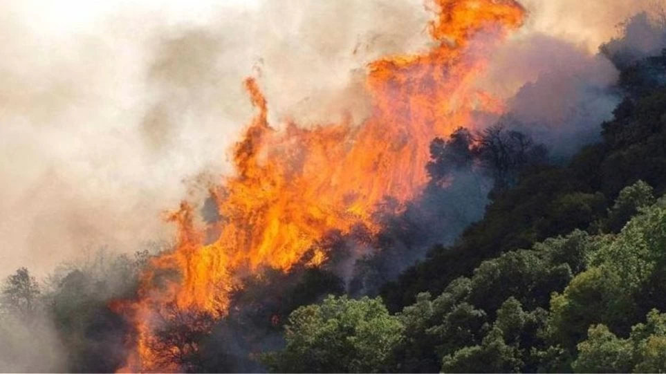 Φωτιά στη Δυτική Αχαΐα: Συνελήφθη 23χρονος με την κατηγορία του εμπρησμού